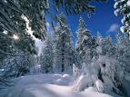 eski�ehir �i�ek g�nderme 